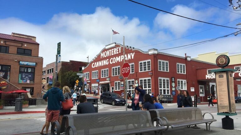 『통조림 공장가』 2편 — 친절은 왜 실패의 특징이 되는가?