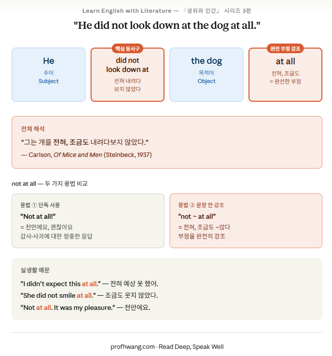 "He did not look down at the dog at all" 
문장 구조 분석 카드 — not at all 두 가지 용법