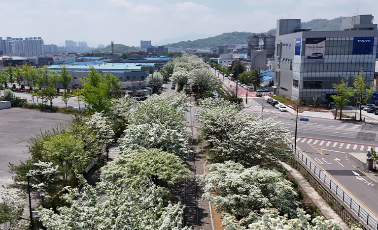 전주 팔복동 이팝나무 철길 하얀 꽃 전경 봄 감수성