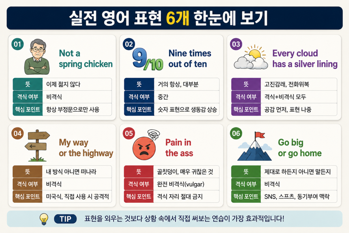 영어 이디엄 뜻 6가지 한눈에 보기 인포그래픽 — not a spring chicken부터 go big or go home까지 격식 여부와 핵심 포인트 정리
